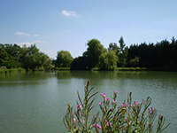 L'étang de Dieppe